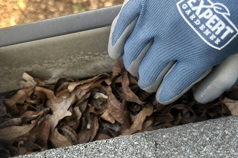 Quakertown Gutter Cleaning