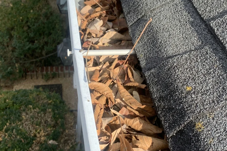 Quakertown Gutter Cleaning